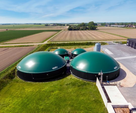 4.-Organic-Res-Manure-Marrum-2